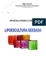 Apostila_Lipogessada_completa