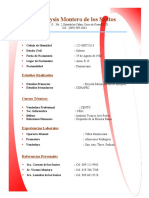 Curriculum - Daneysis Montero de Los Santos