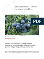 Kleka (Juniperus Communis) - Lekovita Dejstva Moćne Biljke Kleke