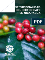 NICAFES - 2019 - Institucionalidad Del Café en Nicaragua