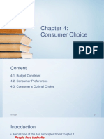 Chapter 4 Consumer Choice