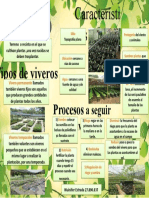 Infografia de Vivero