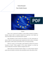 Proiect Fondurile Europene