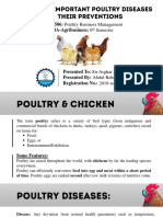 Economically Important Poultry Diseases