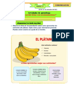Recomendaciones nutricionales para el plátano