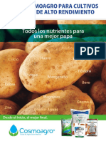 Plan_Papa_Cosmoagro_LN