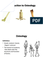 Osteology 4-1