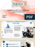 Informe Gerencial para Una Evaluacion Ergonomica 2