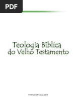 Teologia Bíblica do V