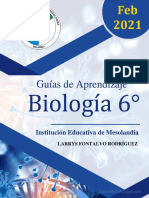 Modulo Biologia 6° Feb 2021