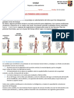 8° BÁSICO Basico Historia HOMINIZACION