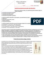 8° Basico Guía #1 Trabajo Hominizacion