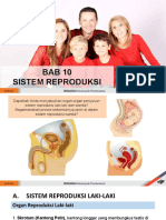 Bab 10 - Sistem Reproduksi - New-std