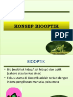 TM 22 - Biooptik Dasar