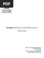 INFORME - Camila Brajovic
