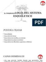 Embriologia Del Sistema Esqueletico: Hospital Central de Maracay Servicio de Traumatologia Y Ortopedia