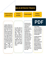 Mapa Conceptual Principios