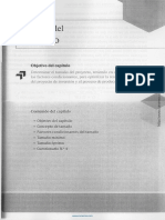 CarbonelTamaño Del Proyecto