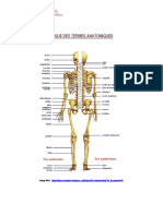 Lexique Des Termes Anatomiques