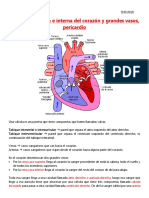Anatomía Externa e Interna Del Corazón y Grandes Vasos