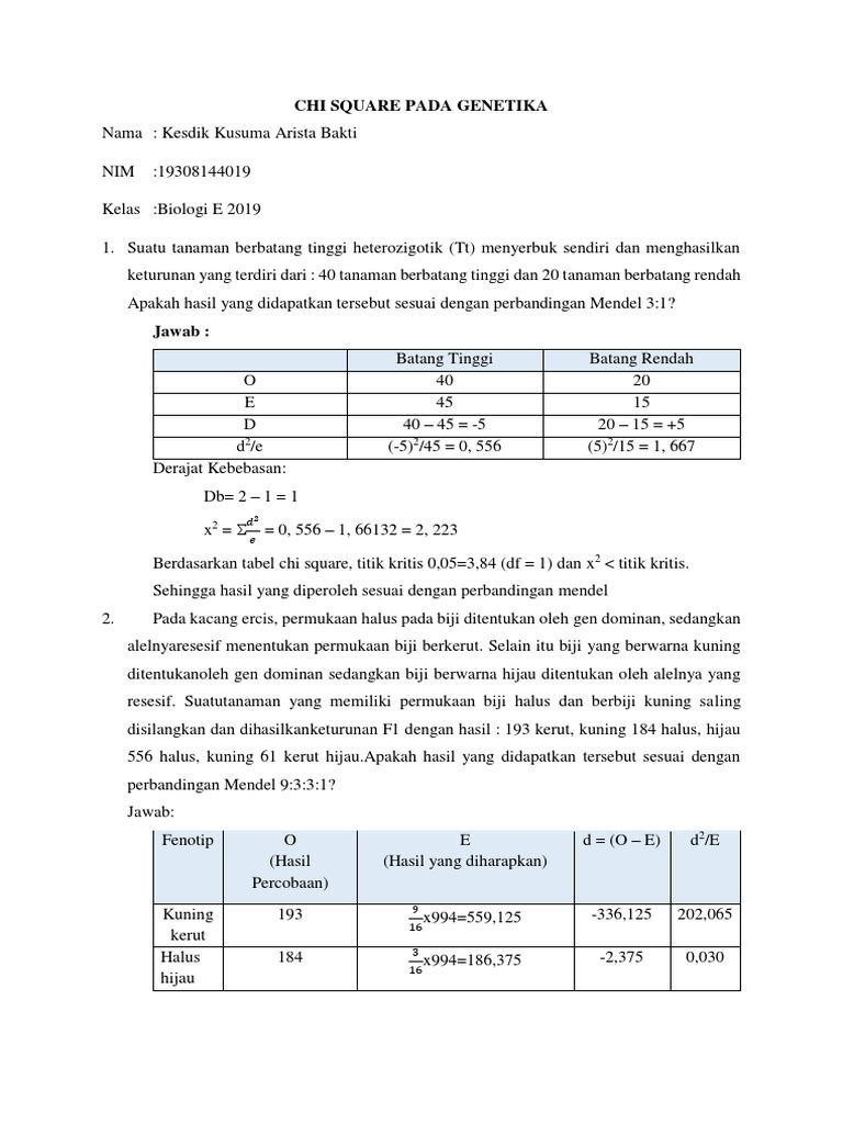 Uji Chi Square Pdf