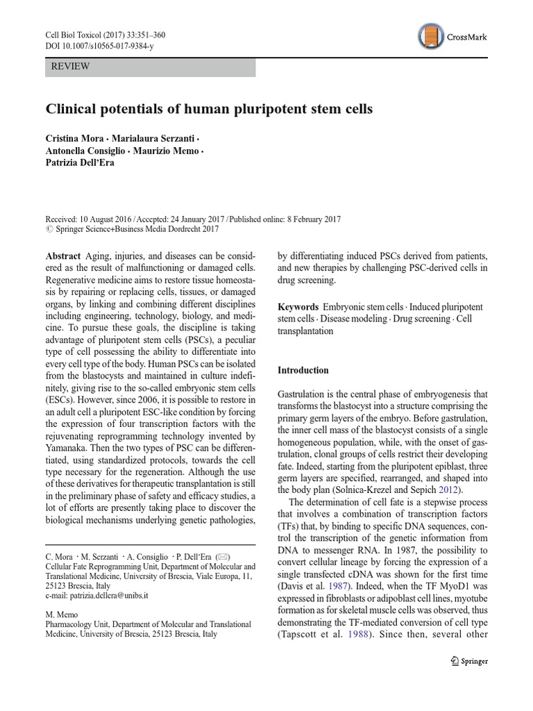 Clinical Potentials of Human Pluripotent Stem Cells | PDF | Cell ...