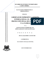 Libertad de expresión, aborto y protección penal de la familia