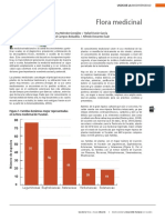07 Flora Medicinal