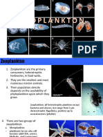 7 Zooplankton