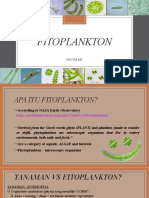 6 FitoPlankton