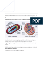 Perbedaan Sel Prokariotik dan Eukariotik