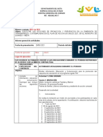 Informe Pai Departamental Renueva 2021