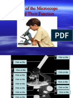 Parts of The Microscope and Their Function