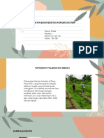 Identifikasi Agroekosistem