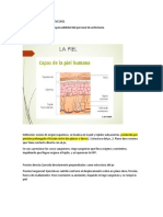 Ulceras Por Presión