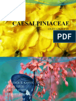 Caesalpiniaceae