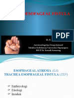 Trakeoesofageal Fistula Anestesi