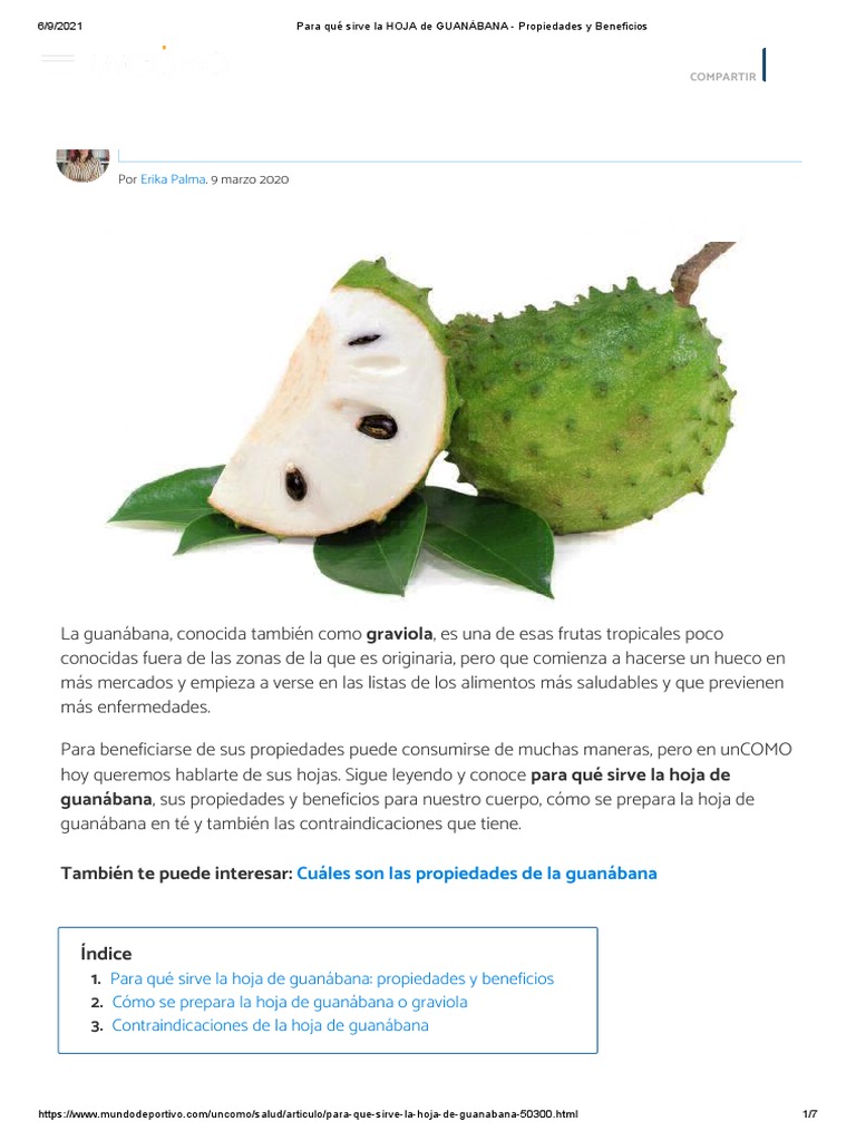 HOJA de GUANÁBANA Propiedades y Beneficios PDF Té Diabetes