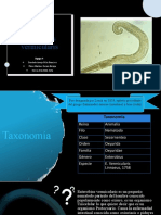 Equipo 9-Enterobius Vermicularis