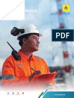 Company Profile PLN 082021