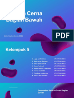 Kelompok 5 - Saluran Cerna Bagian Bawah