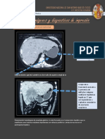 Revisiòn de Imàgenes y Diagnòsticos Presuntivos