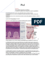 Unidad 6.7 - RESUMEN - Piel