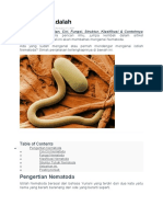 Nematoda Adalah