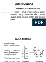 BIOKIMIA 13