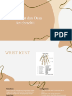 WRIST JOINT DAN OSSA ANTEBRACHII