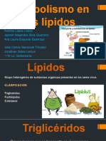 Metabolismo en Los Lípidos 2