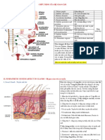 HỆ THẦN KINH GIAO CẢM - FUNCTION