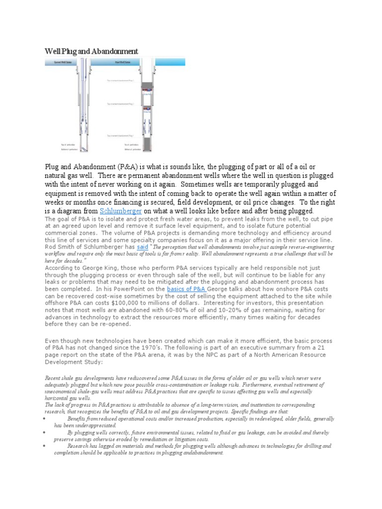 Well Plugging and Abandonment Overview | PDF | Casing (Borehole) | Oil Well