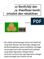 Kuliah II, Struktur Biji